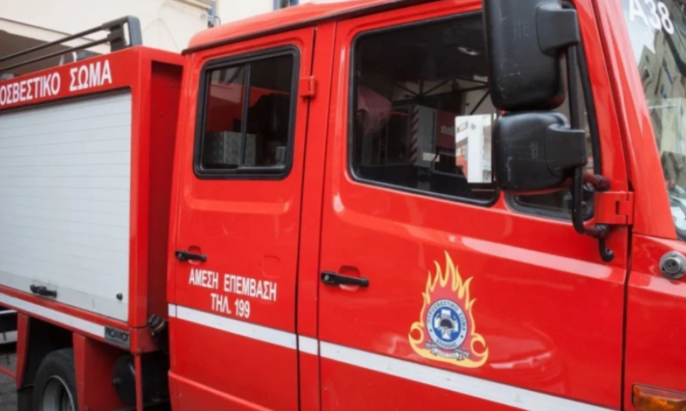 Φωτιά σε δασική έκταση στο Νεοχώρι Εύβοιας